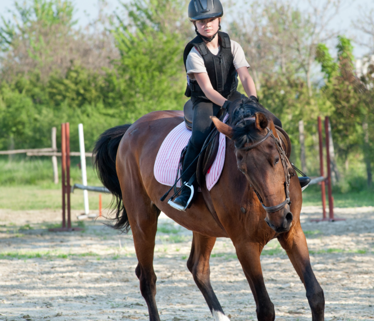 Alanya Horse Riding